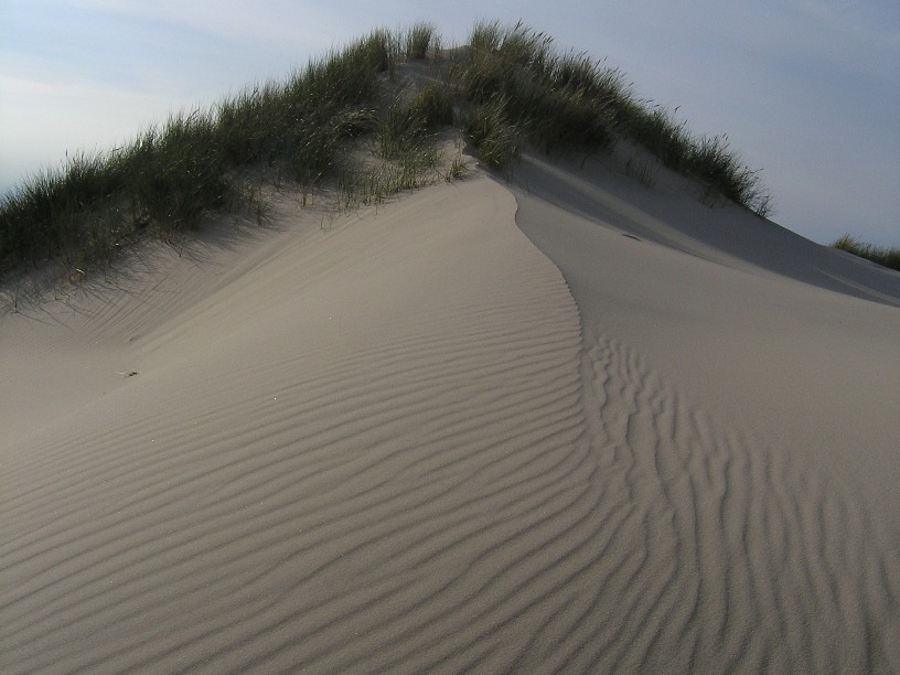 Flyvesand